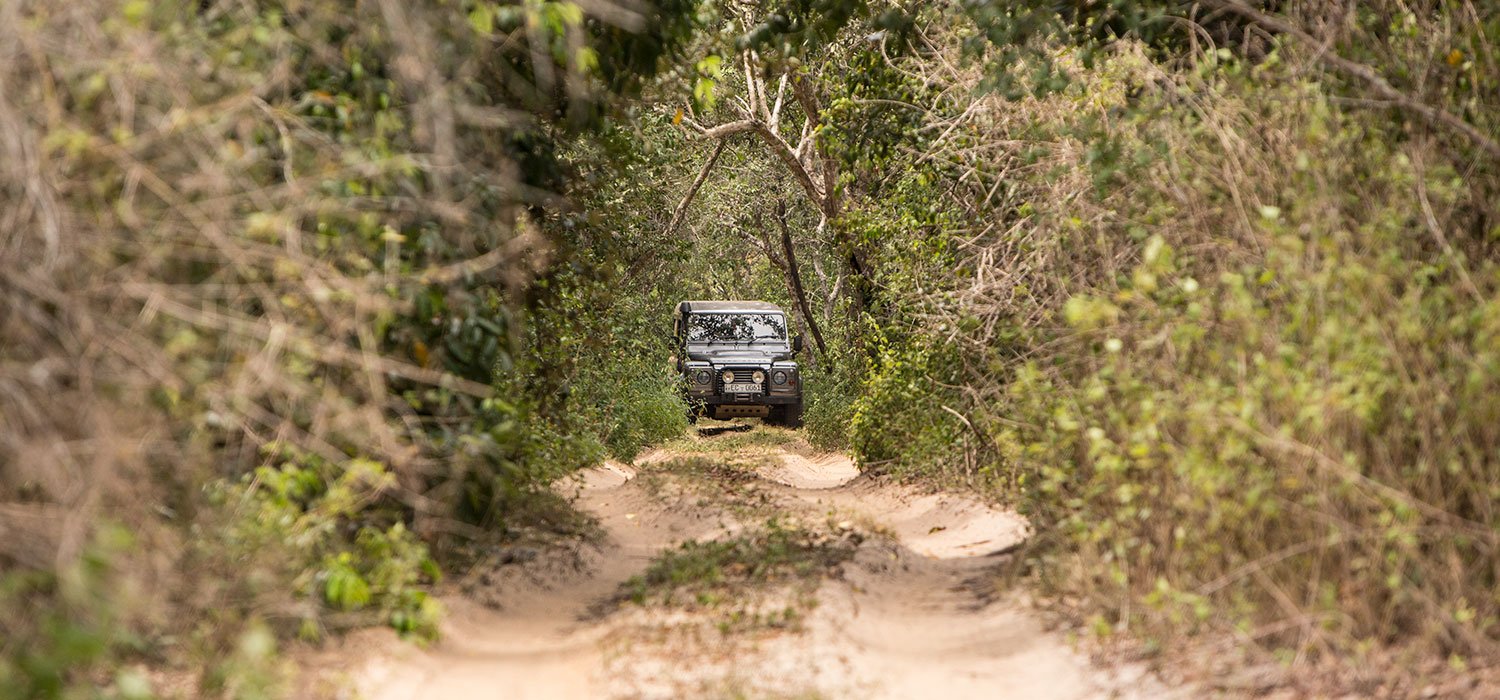 Wilpattu forest and lake